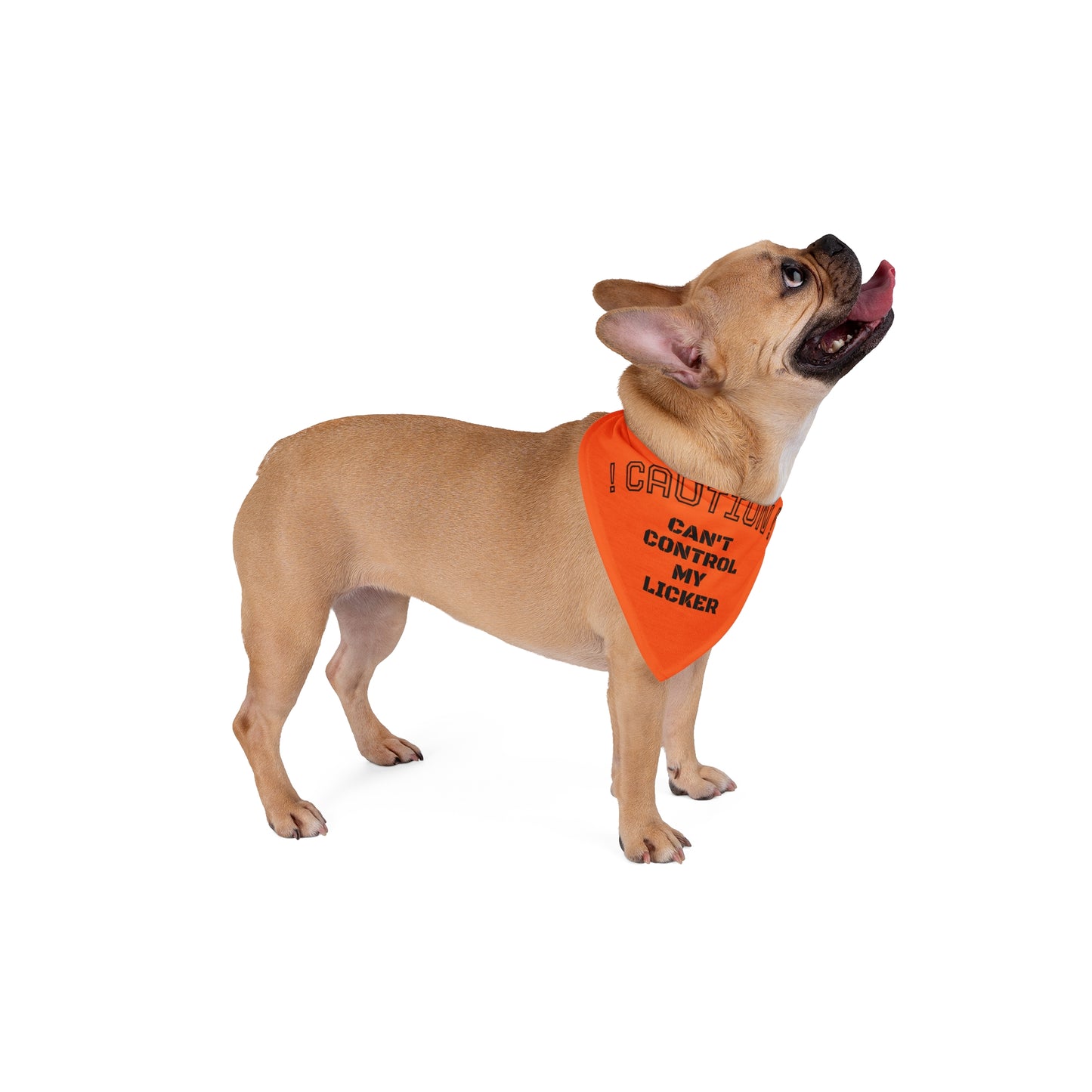 Playful Pet Bandana "CAUTION! I can't control my licker"