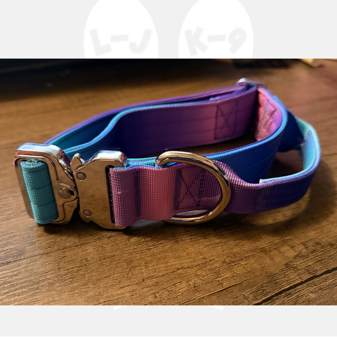 Beautiful Purple/Pink & Blue Gradient Collar