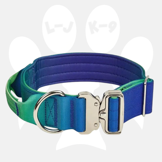 Blue & Green Gradient Collar & Matching Leash Set