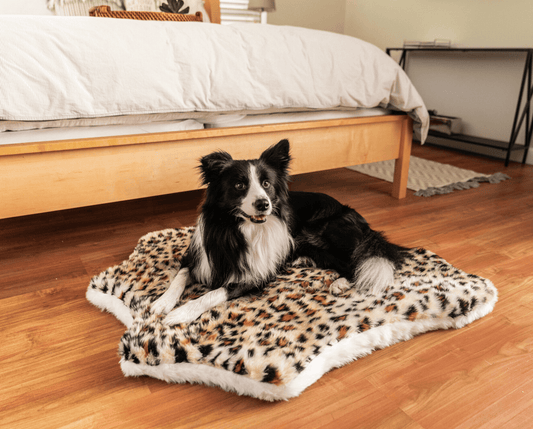 PupRug™ Animal Print Memory Foam Dog Bed - Cheetah Faux Print