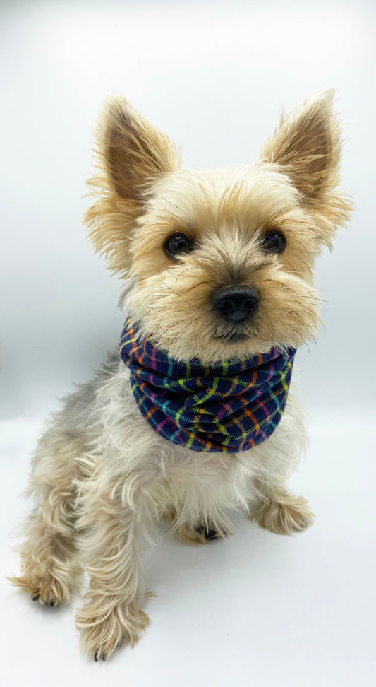 'Brett' Reversible Pet Snood