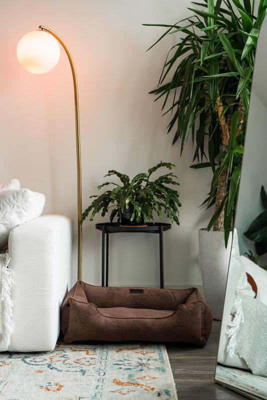 Chester & Lee | Milk Chocolate Sleeper Dog Bed