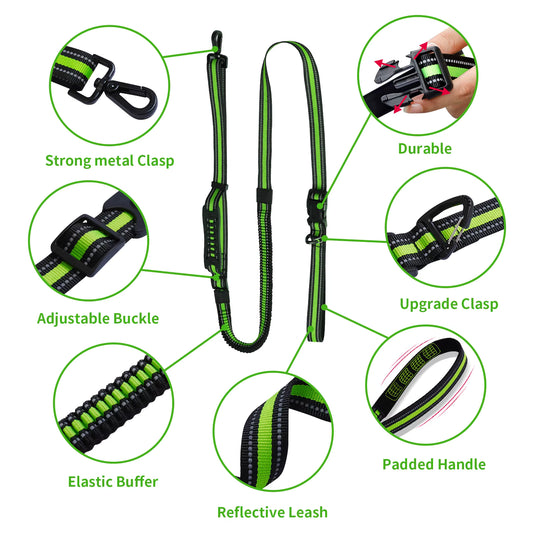 Hands-Free Running Bungee Leash