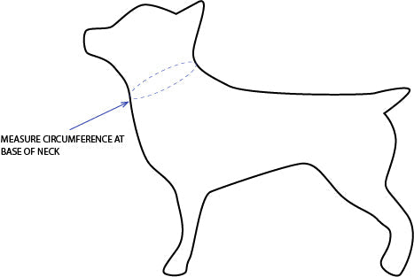 'Aspen' Reversible Pet Bandana