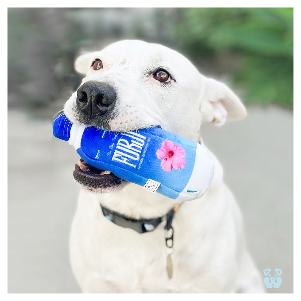 Furji Water