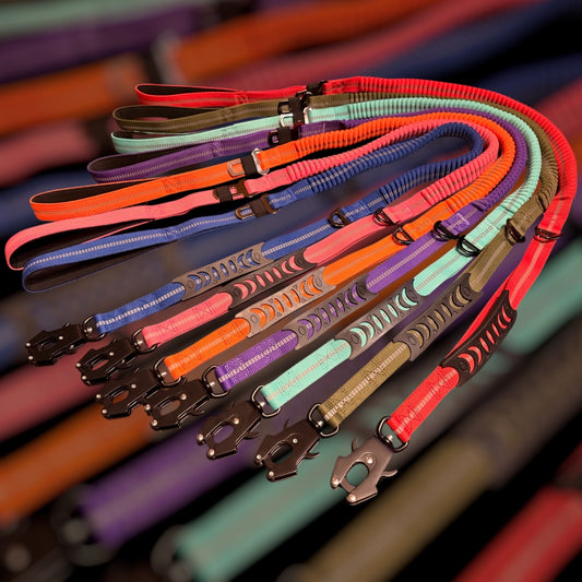 Heavy Duty Quick-Release Bungee Leash (Absorbs Pulls)