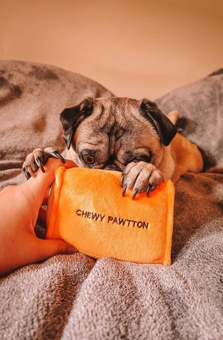 Chewy Pawtton