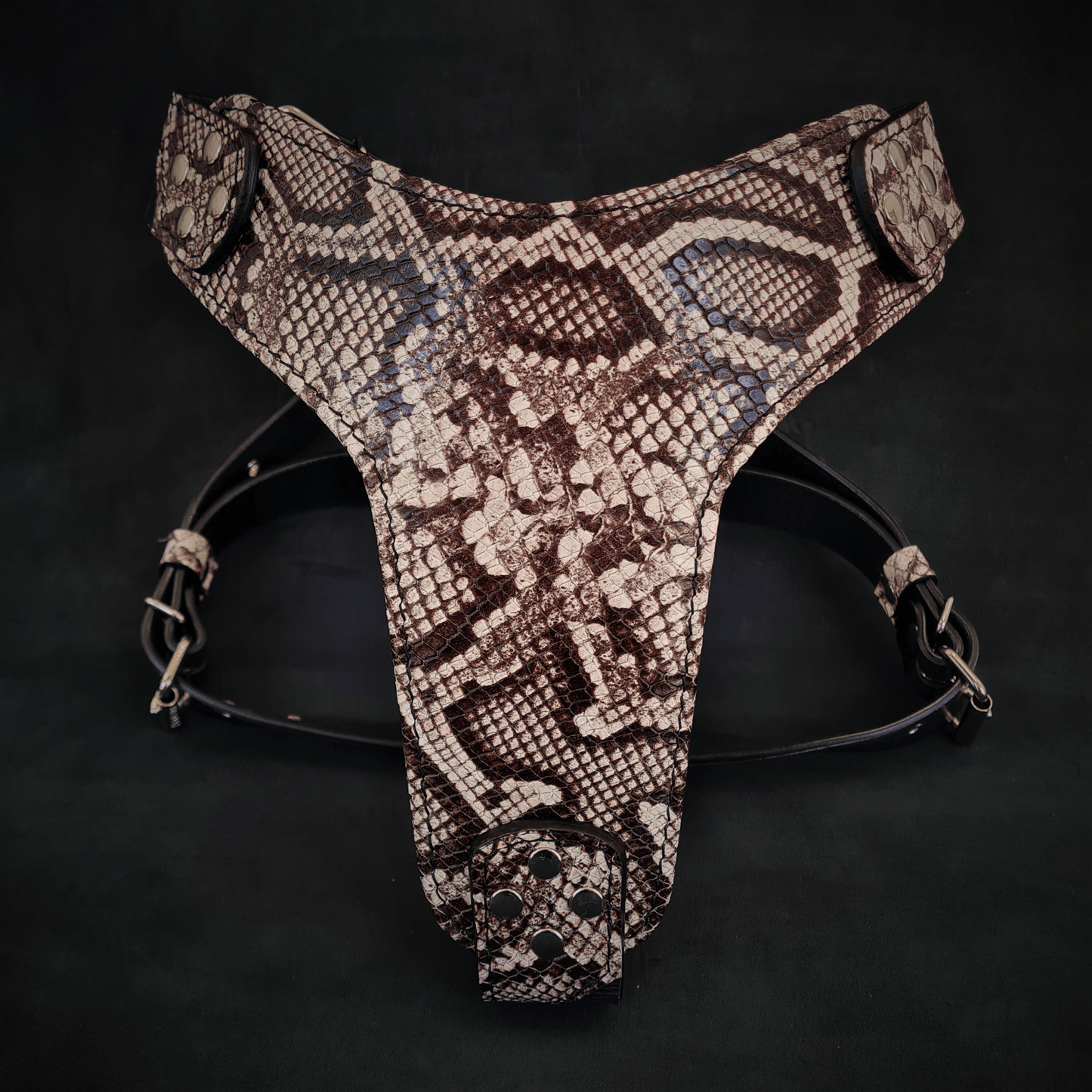 The ''Rock Python'' Dog Harness