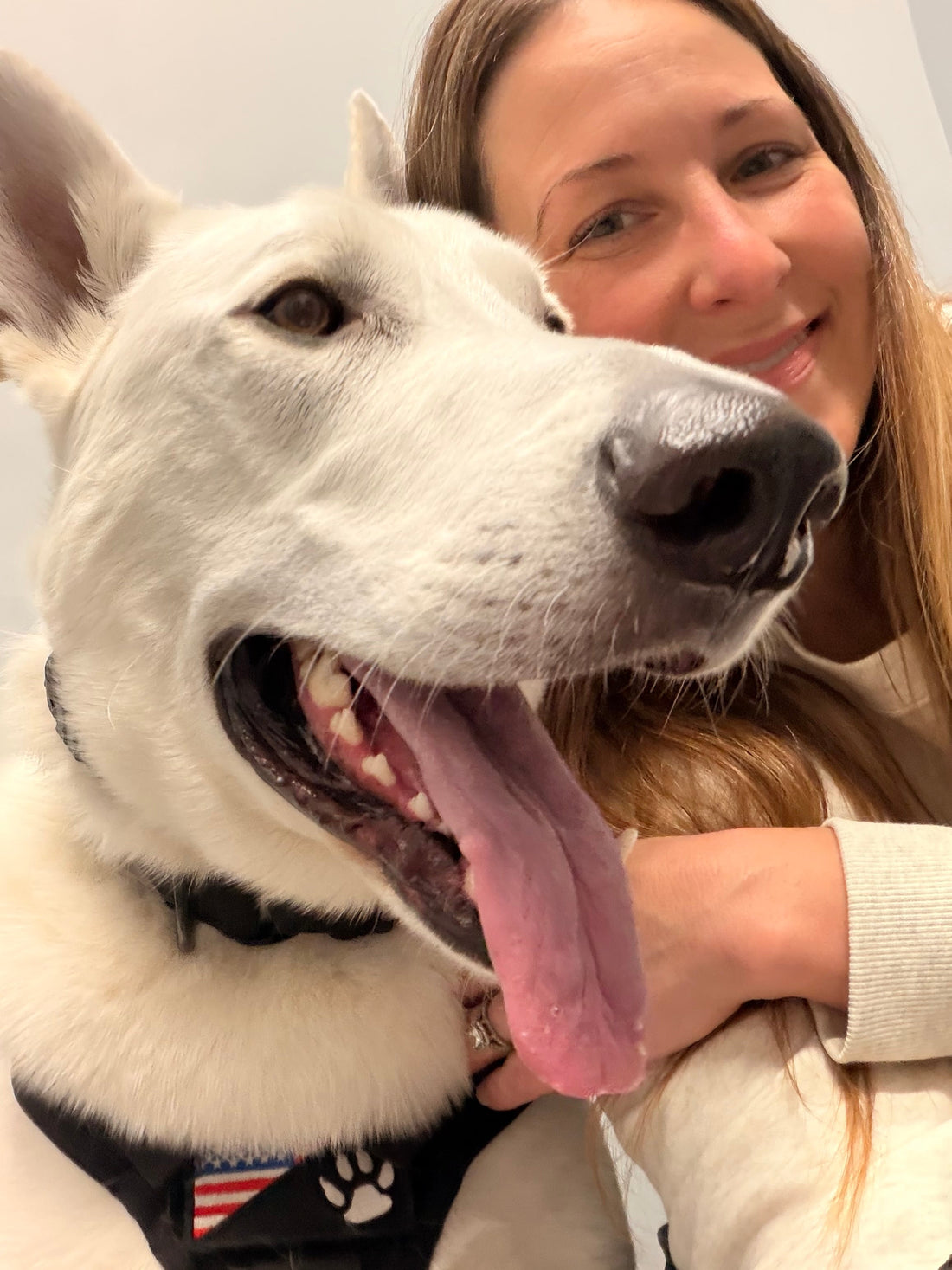 Yogi is a BEEF CAKE! 133 pounds :0