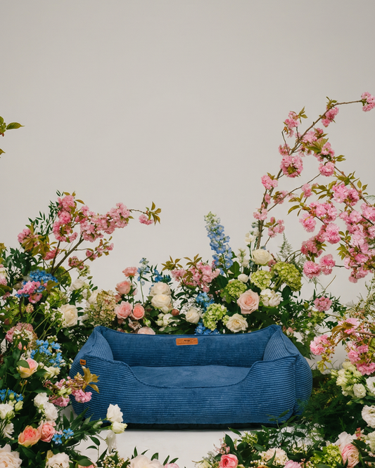 Chester & Lee | Fancy Corduroy Sleeper Dog Bed