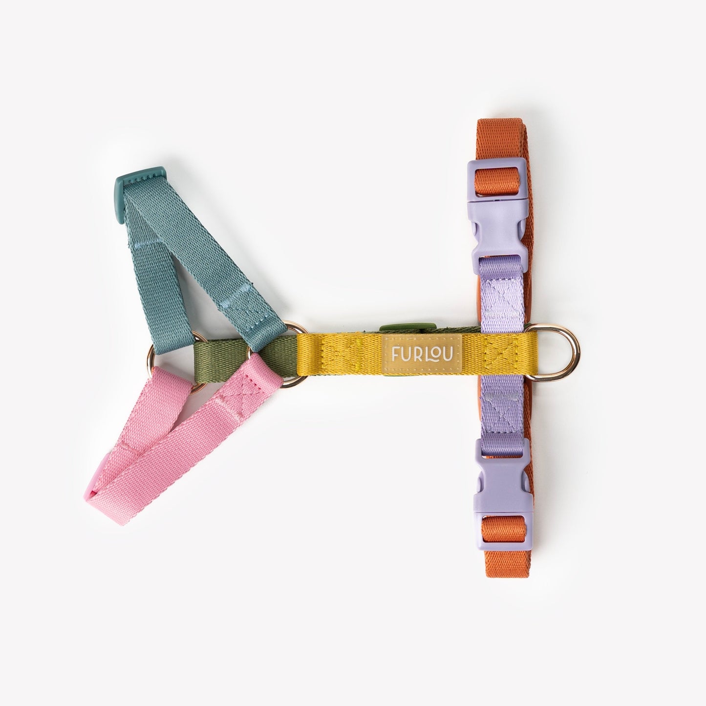 Rainbow - Dog Harness