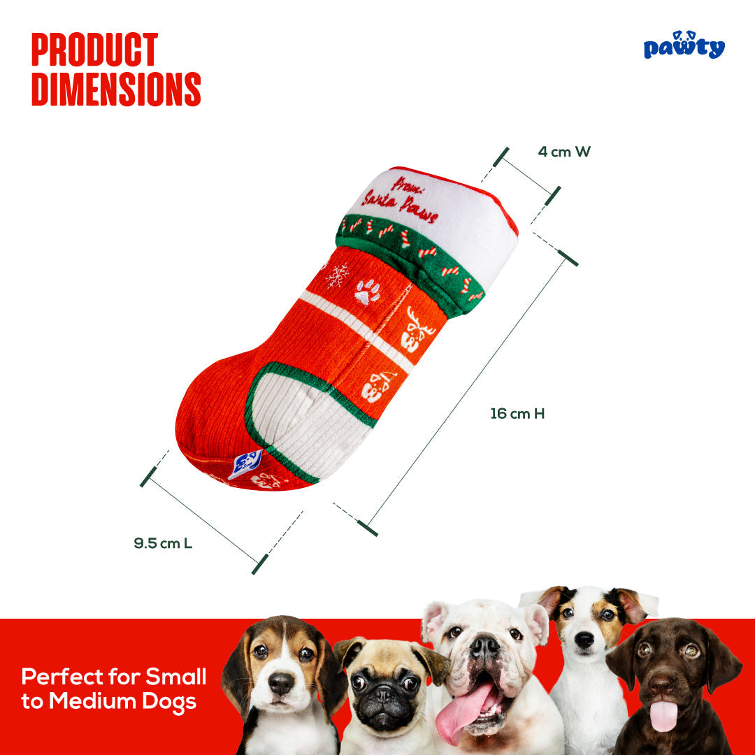 Christmas Sock