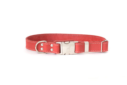 Pro Line Quick-Release Coral Reef Leather Dog Collar with Metal Buckle