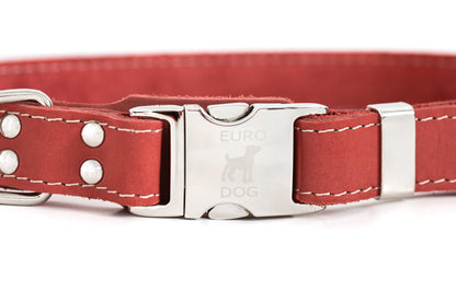 Pro Line Quick-Release Coral Reef Leather Dog Collar with Metal Buckle