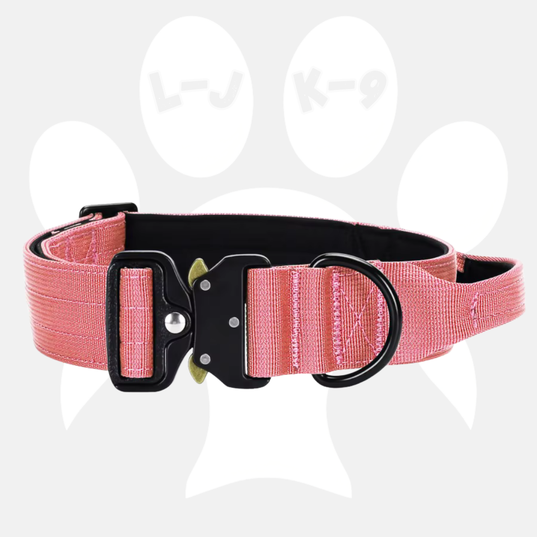 Sleek-Lux Padded Dog Collar