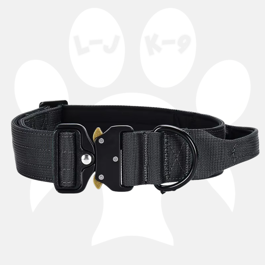 Sleek-Lux Padded Dog Collar