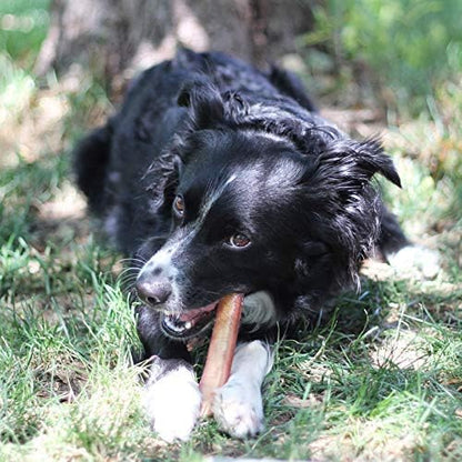 Brazilian Grass-Fed Beef Bully Sticks