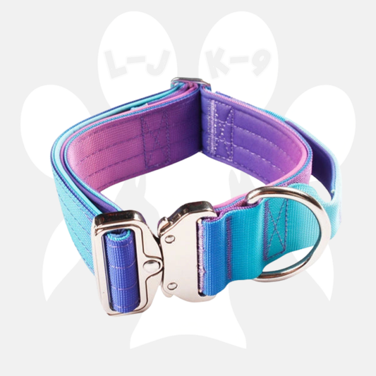 Beautiful Purple/Pink & Blue Gradient Collar