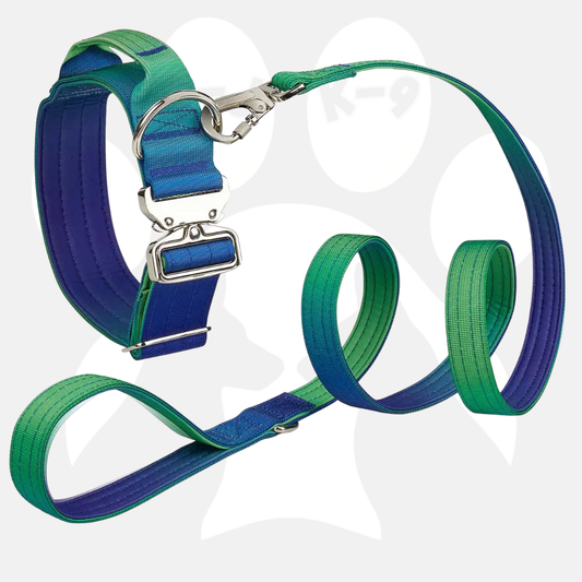 Blue & Green Gradient Collar & Matching Leash Set