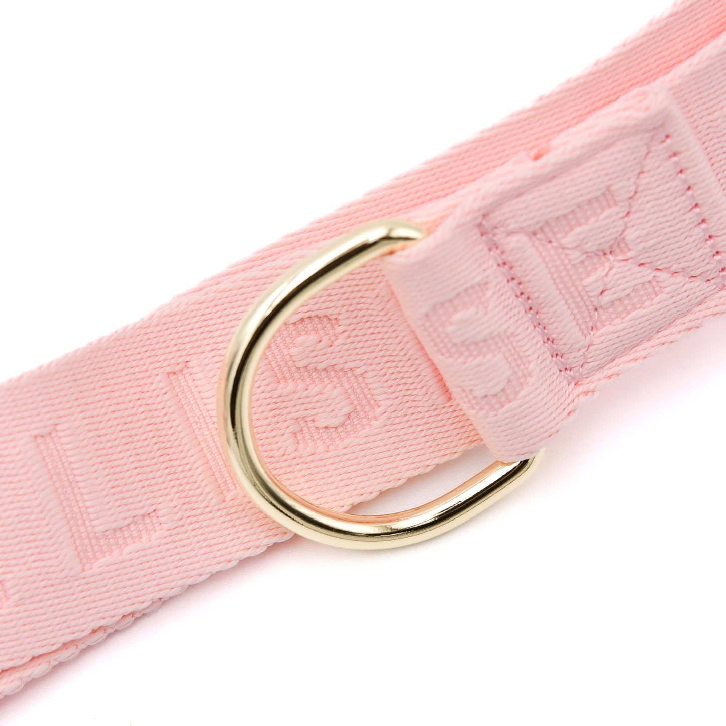 Dog Walking Bag - Rose