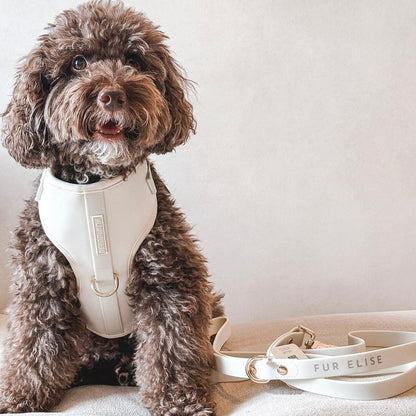 Fur Elise Harness & Leash Set - Bone