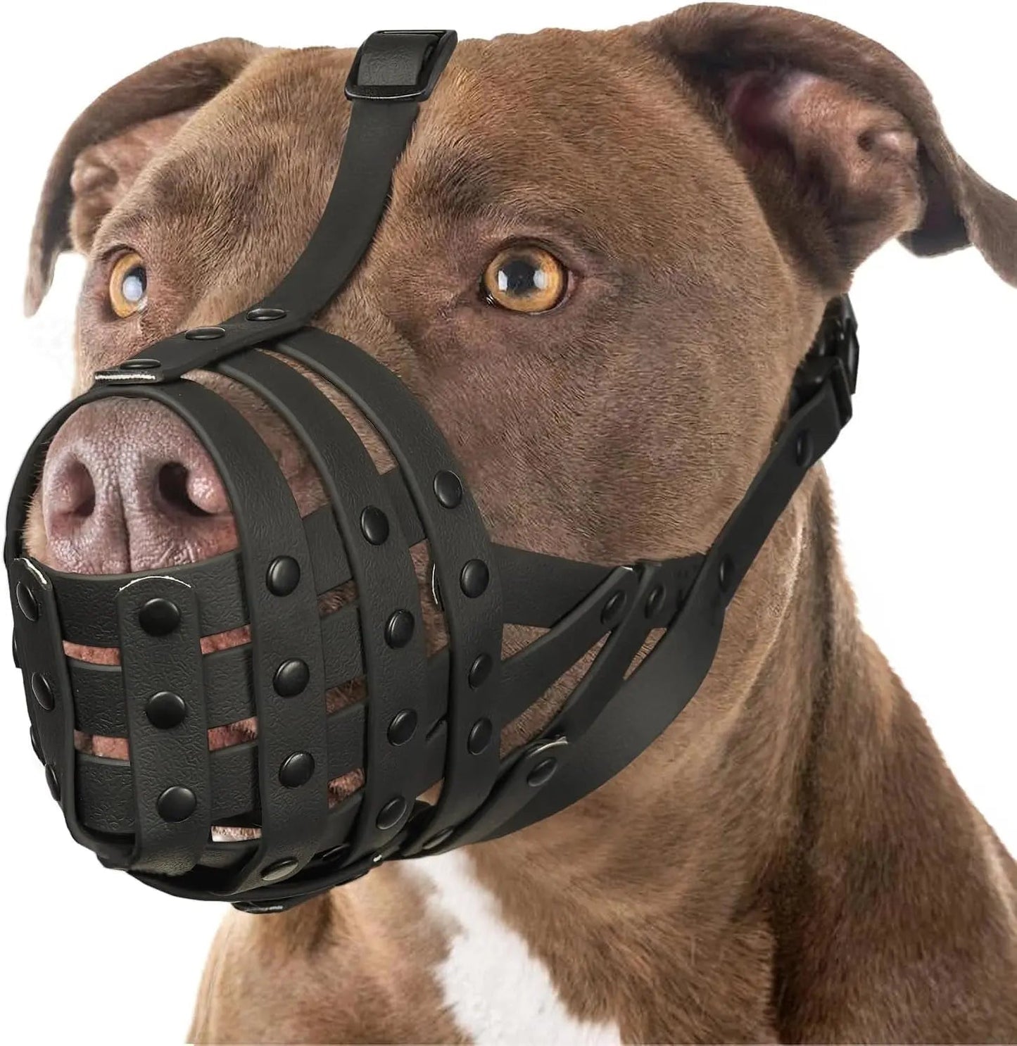 Adjustable Basket Dog Muzzle for Large & Medium Dogs, Lightweight & Breathable