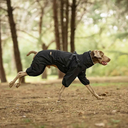 Waterproof 4-Leg Dog Raincoat with Harness, S–5XL