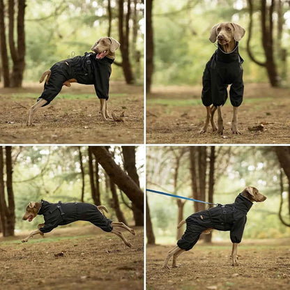 Waterproof 4-Leg Dog Raincoat with Harness, S–5XL