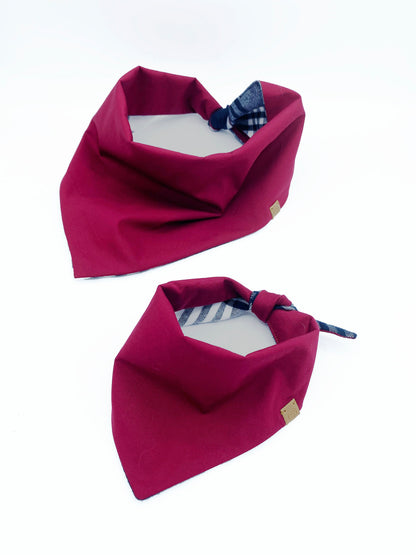 'Bobby' Reversible Pet Bandana