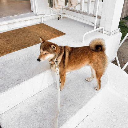 Fur Elise The Essentials Walk Set - Bone