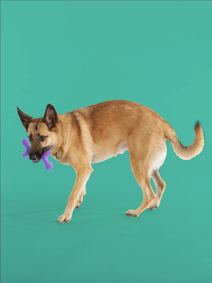BallBone MAX