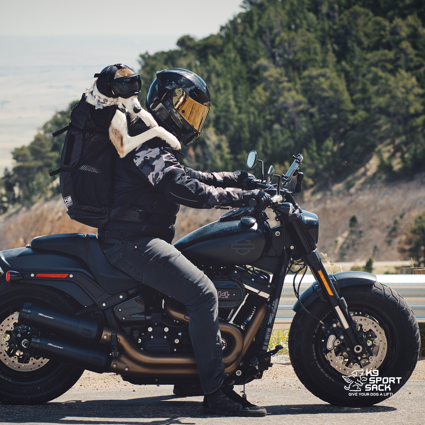 Knavigate | Advanced Dog Carrier with Internal Frame & Hip Belt