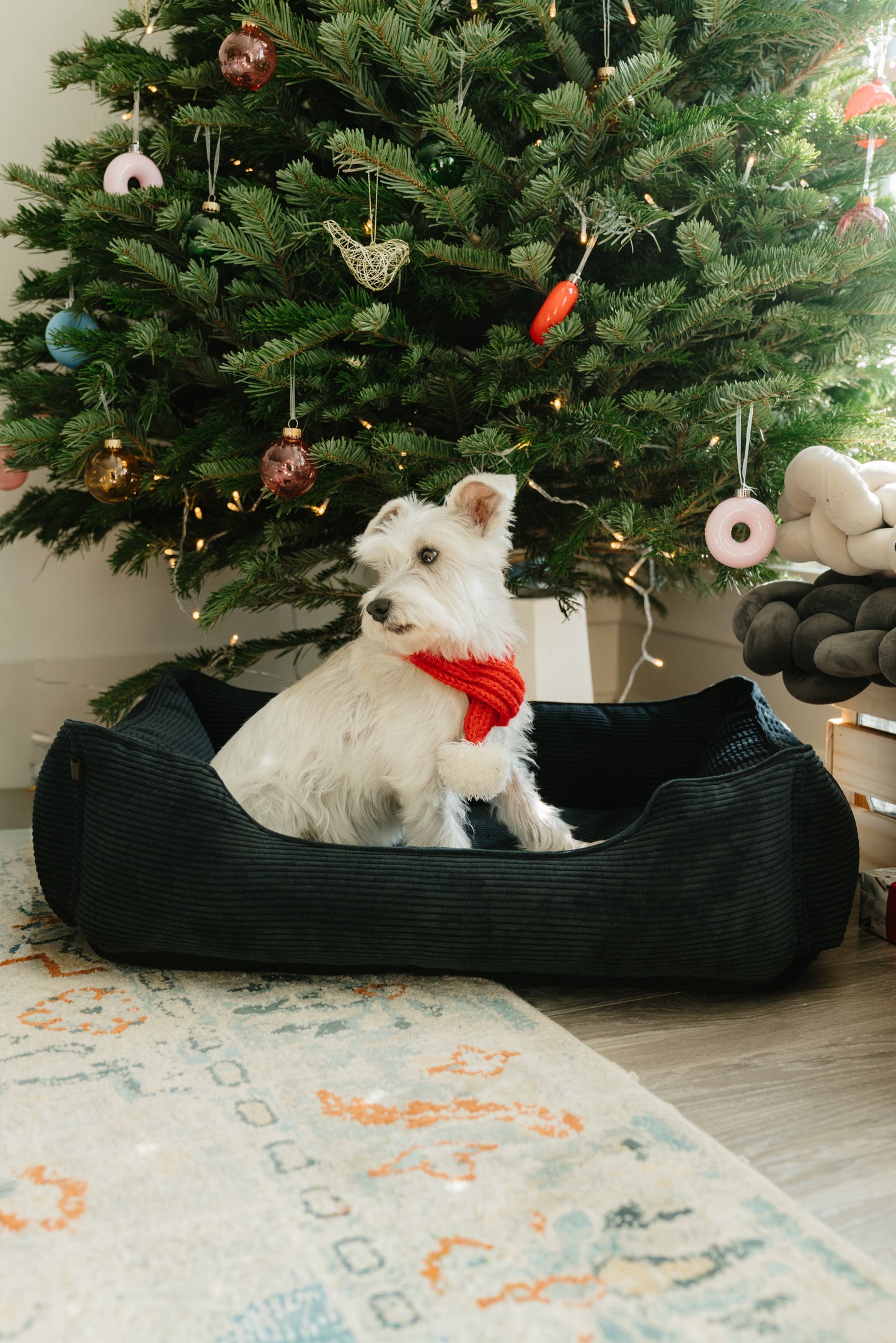 Chester & Lee | Fancy Corduroy Sleeper Dog Bed Graphite