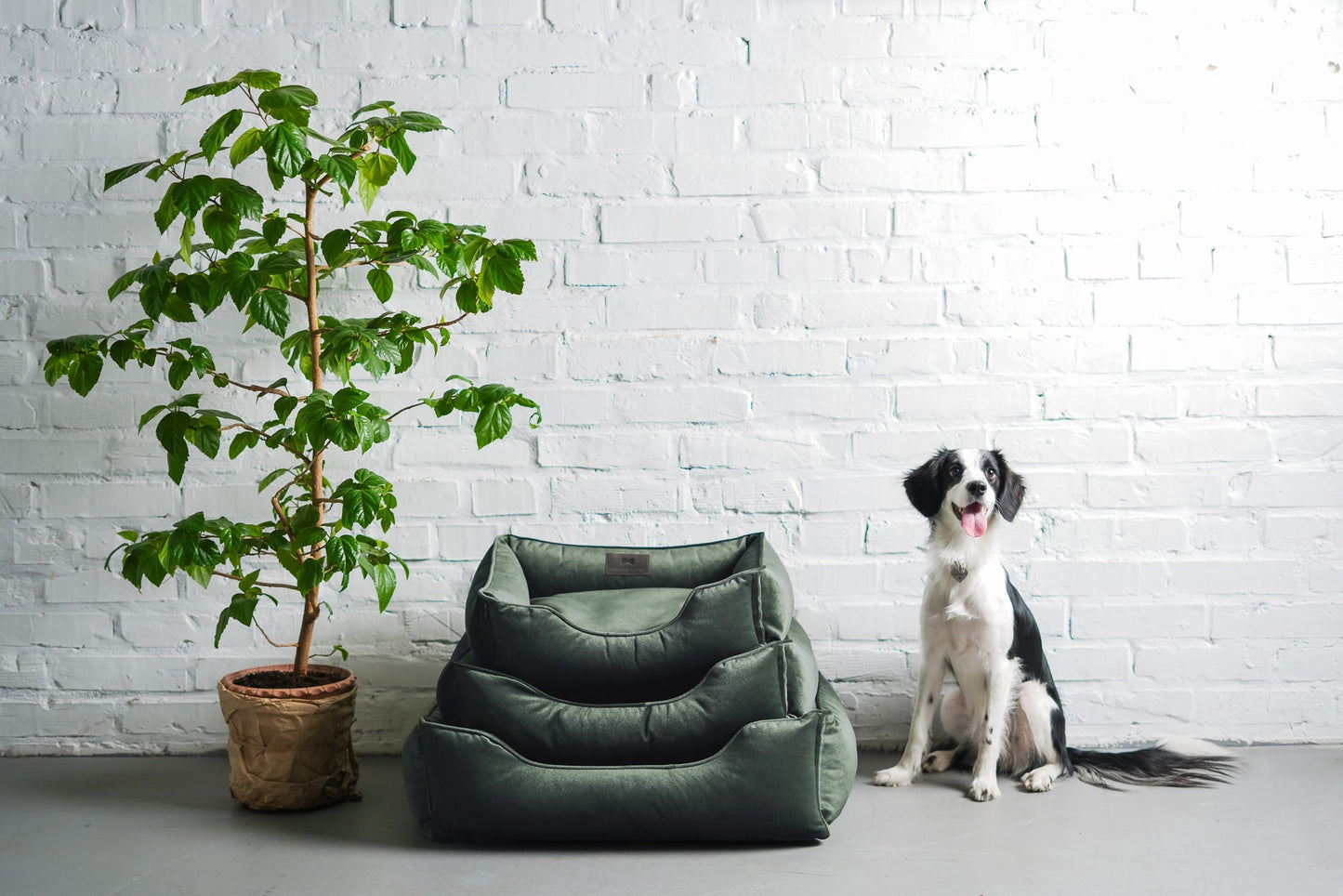 Chester & Lee | Classic Velvet Sleeper Dog Bed Green