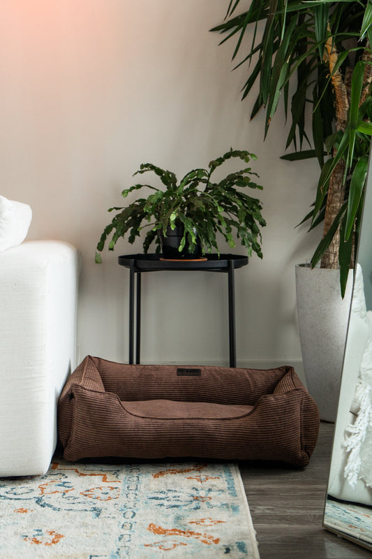 Chester & Lee | Milk Chocolate Sleeper Dog Bed