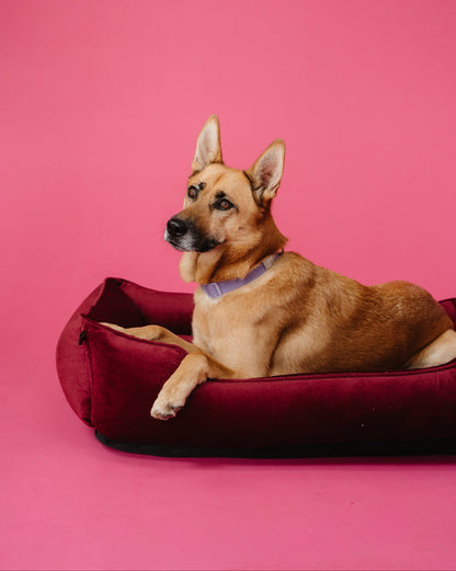 Chester & Lee | Vibrant Velvet Sleeper Dog Bed Wine