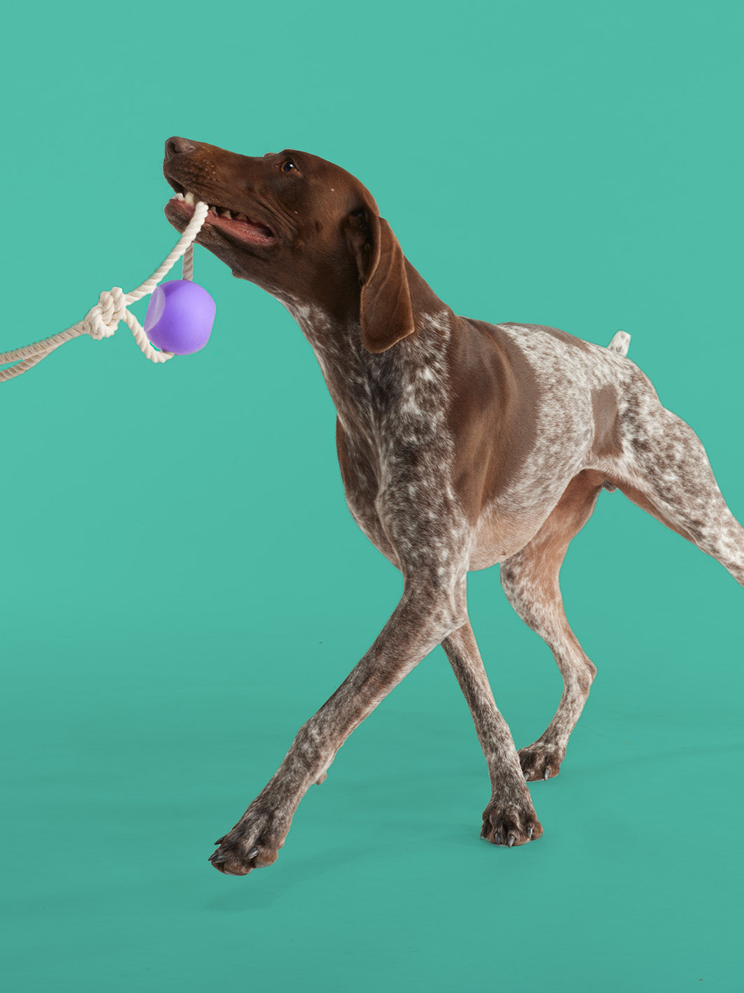 BallRope