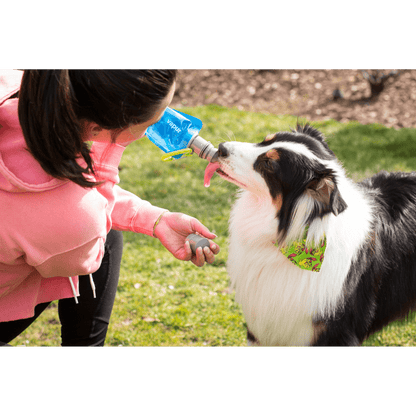 Vapur® EZ Lick™ Portable Dog Water Bottle
