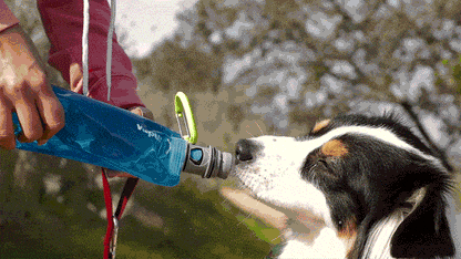 Vapur® EZ Lick™ Portable Dog Water Bottle