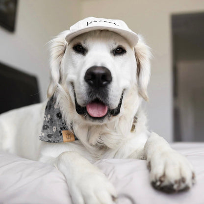 Fur Elise Furever Pet Hat