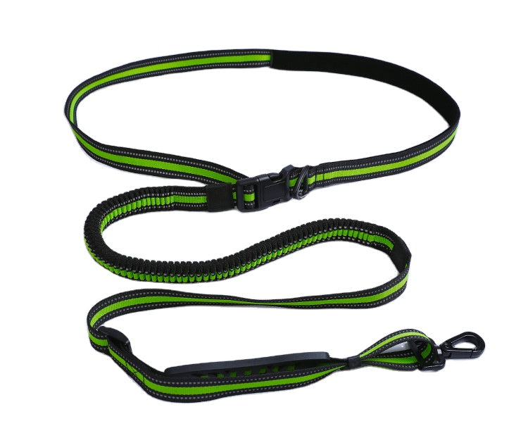 Hands-Free Running/Hiking Bungee Leash
