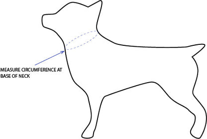 'Andy' Reversible Pet Bandana