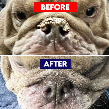 Pet Nose Repair Balm - 2 oz