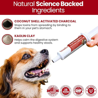 Pawmergency Activated Charcoal Pet First Aid Kit –Poison Rescue 2 Pack (30ml)