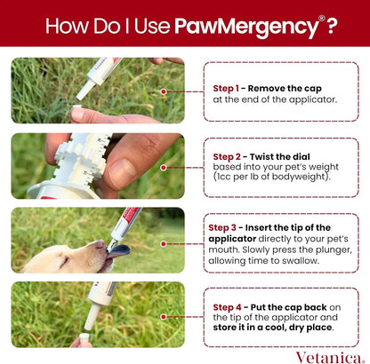 Pawmergency Activated Charcoal Pet First Aid Kit –Poison Rescue 2 Pack (30ml)