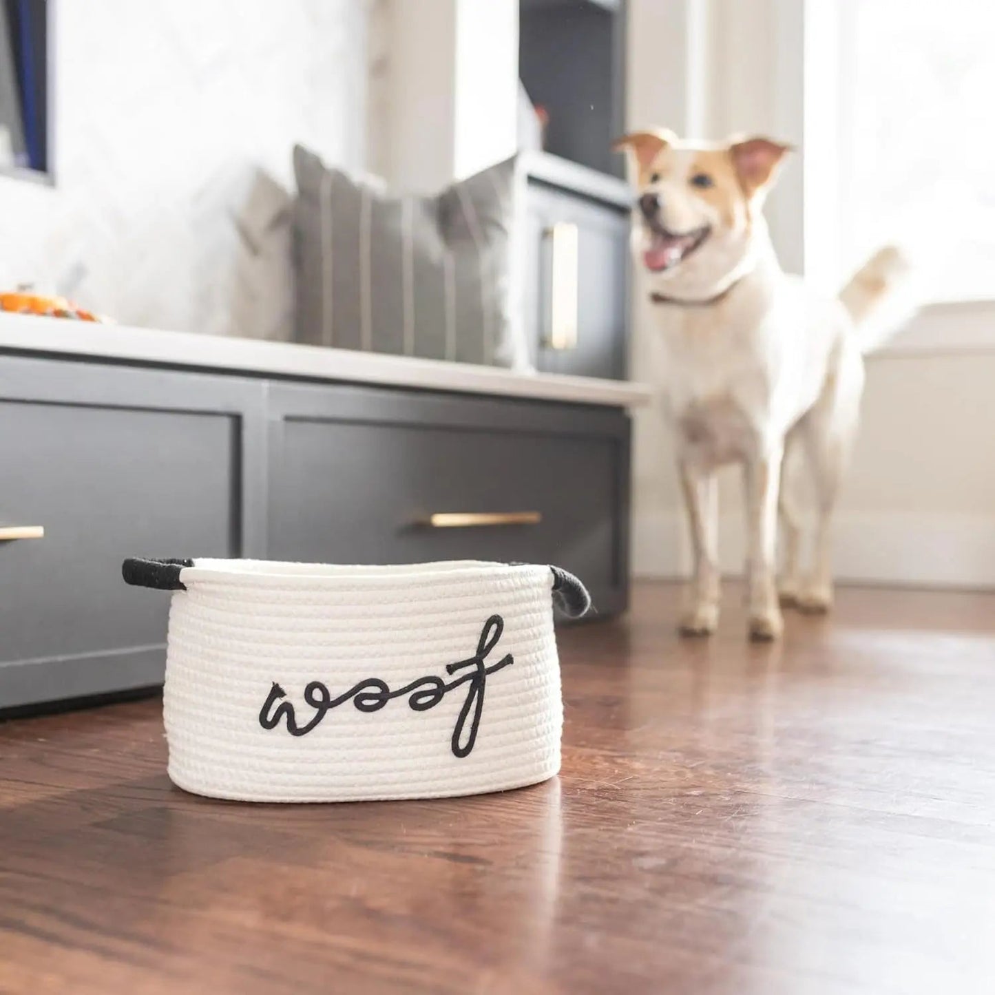 Premium New Puppy Gift Basket – Dog Starter Kit & Birthday Toy Set