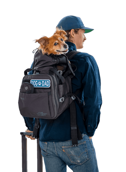 Sky Pack | Convertible Dog Backpack & Pet Carrier