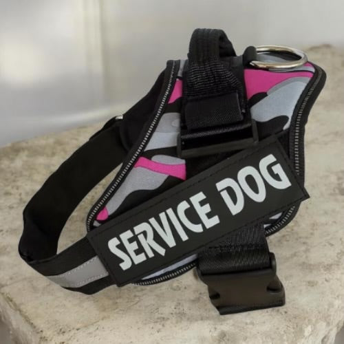 Easy Pull-Over Dog Harness