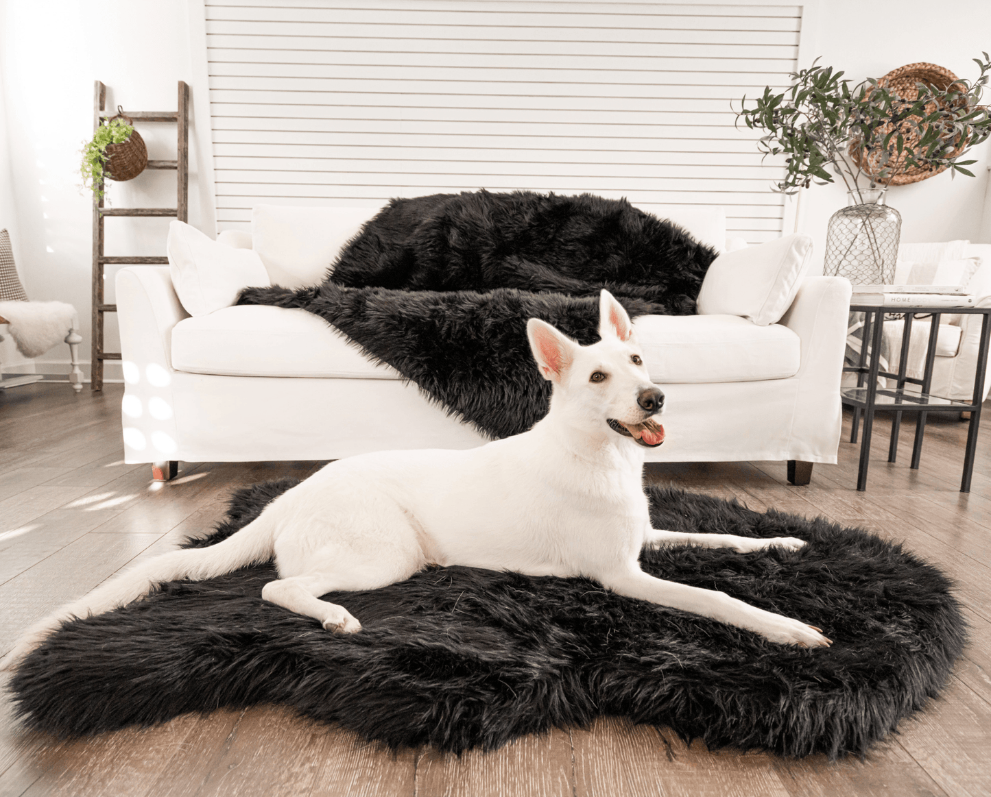 PupRug by Paw.com®  Faux Fur Orthopedic Dog Bed - Curve Midnight Black