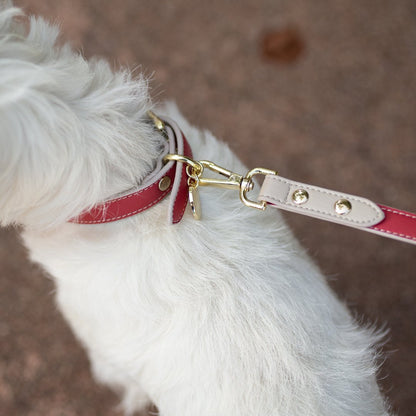Leash 4ft - Vegan Leather - Copenhagen